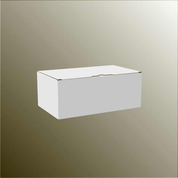 16x27x10.5 cm E-Ticaret ve Kargo Kutusu