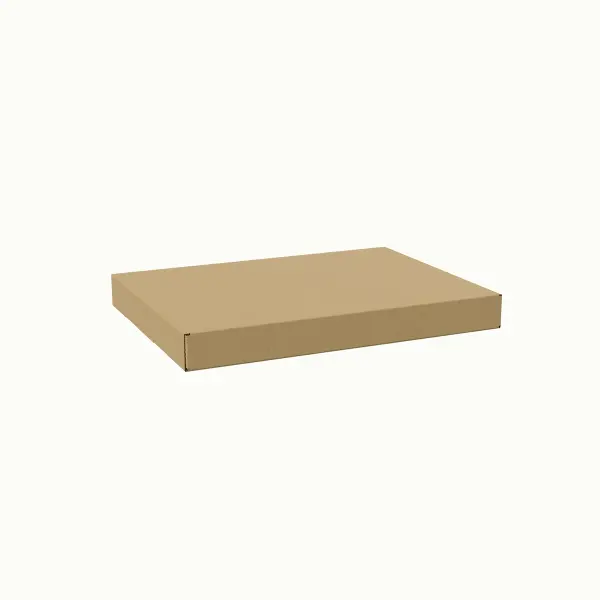31x41x4 cm E-Ticaret ve Kargo Kutusu