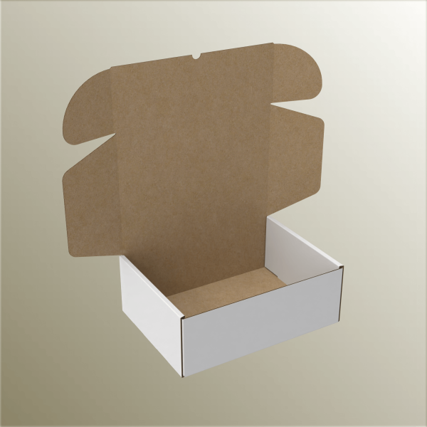 19.5x26x9.5 cm E-Ticaret ve Kargo Kutusu