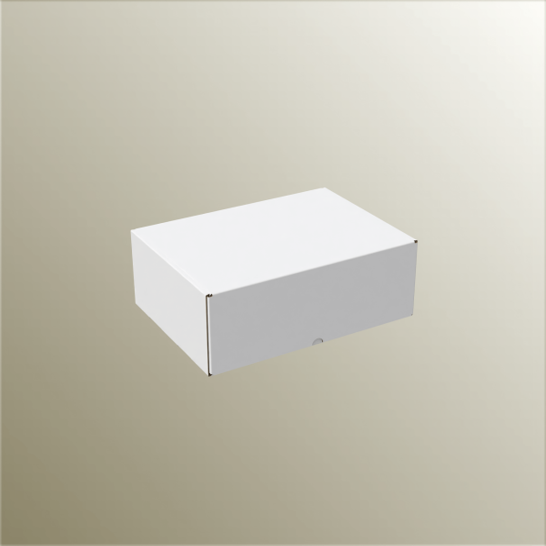 19.5x26x9.5 cm E-Ticaret ve Kargo Kutusu