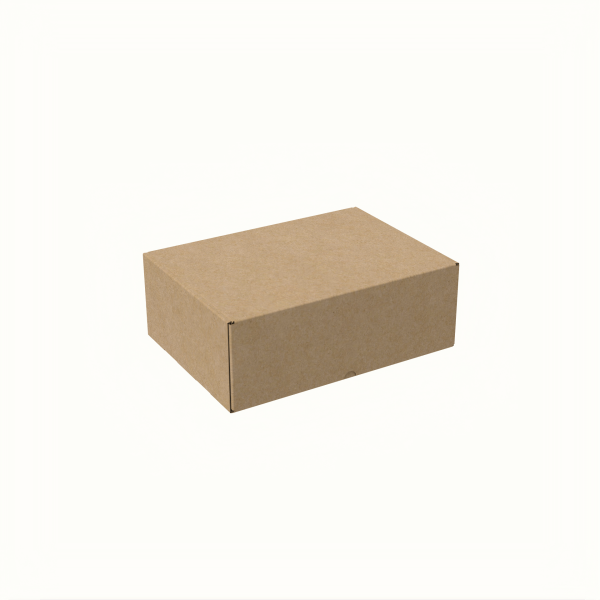 19.5x26x9.5 cm E-Ticaret ve Kargo Kutusu