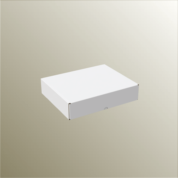 21.5x25.5x5.5 cm E-Ticaret ve Kargo Kutusu