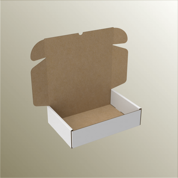 15.5x22.5x5.5 cm E-Ticaret ve Kargo Kutusu