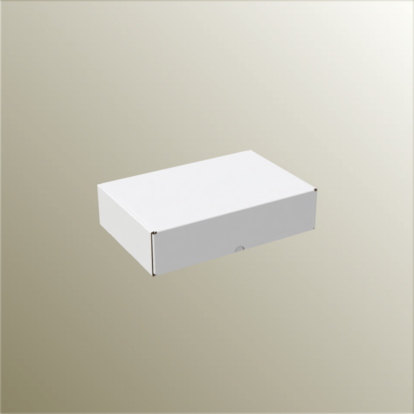 15.5x22.5x5.5 cm E-Ticaret ve Kargo Kutusu