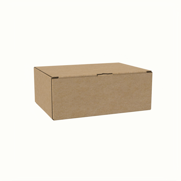 14x19.5x7 cm E-Ticaret ve Kargo Kutusu