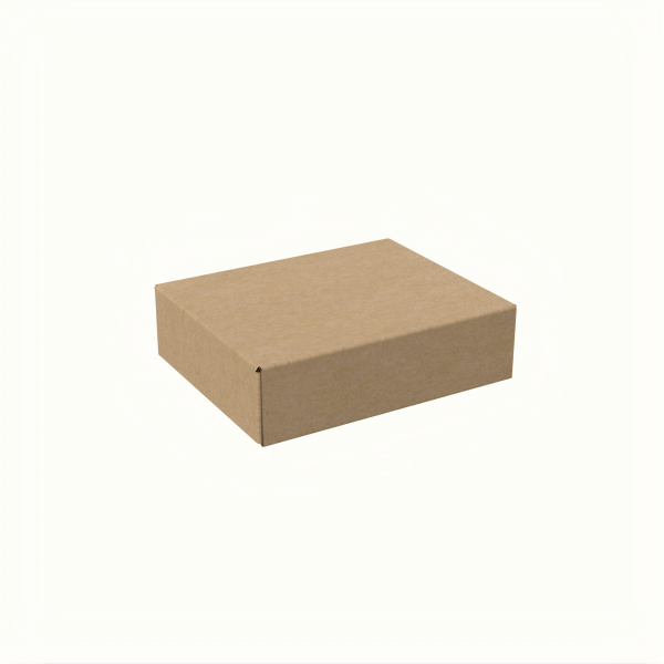 18.5x23.5x6.5 cm T-4 Kapaklı Kutu