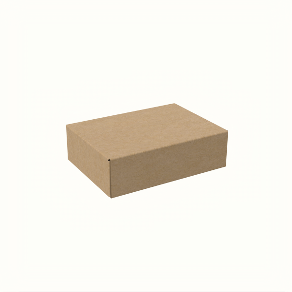 20x28.5x8.5 cm T-1 Kapaklı Kutu
