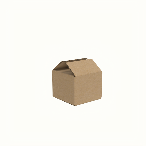21x21x16 cm Çift Oluklu A-Box Taşıma Kolisi
