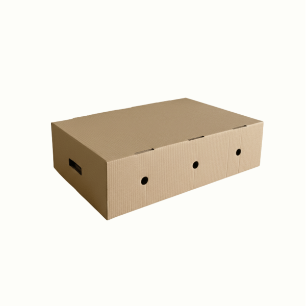 40x59x17 cm Çift Oluklu Kapaklı Et Kolisi