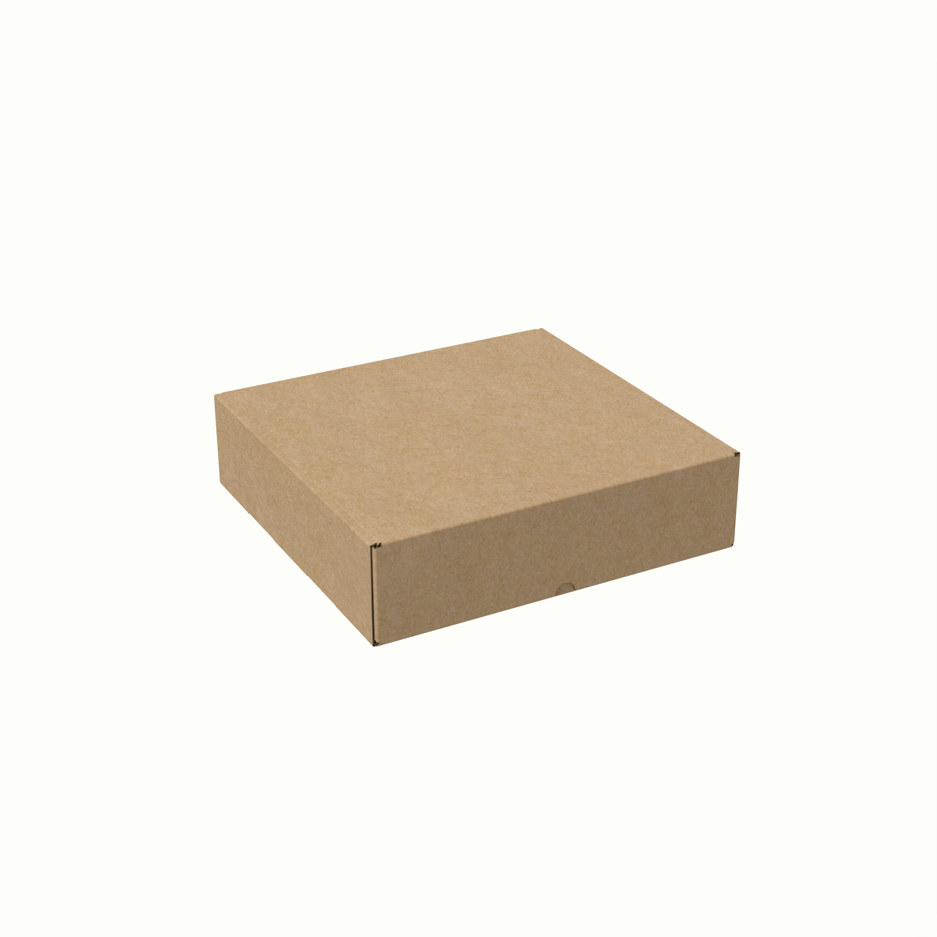 25x25x6.5 cm E-Ticaret ve Kargo Kutusu