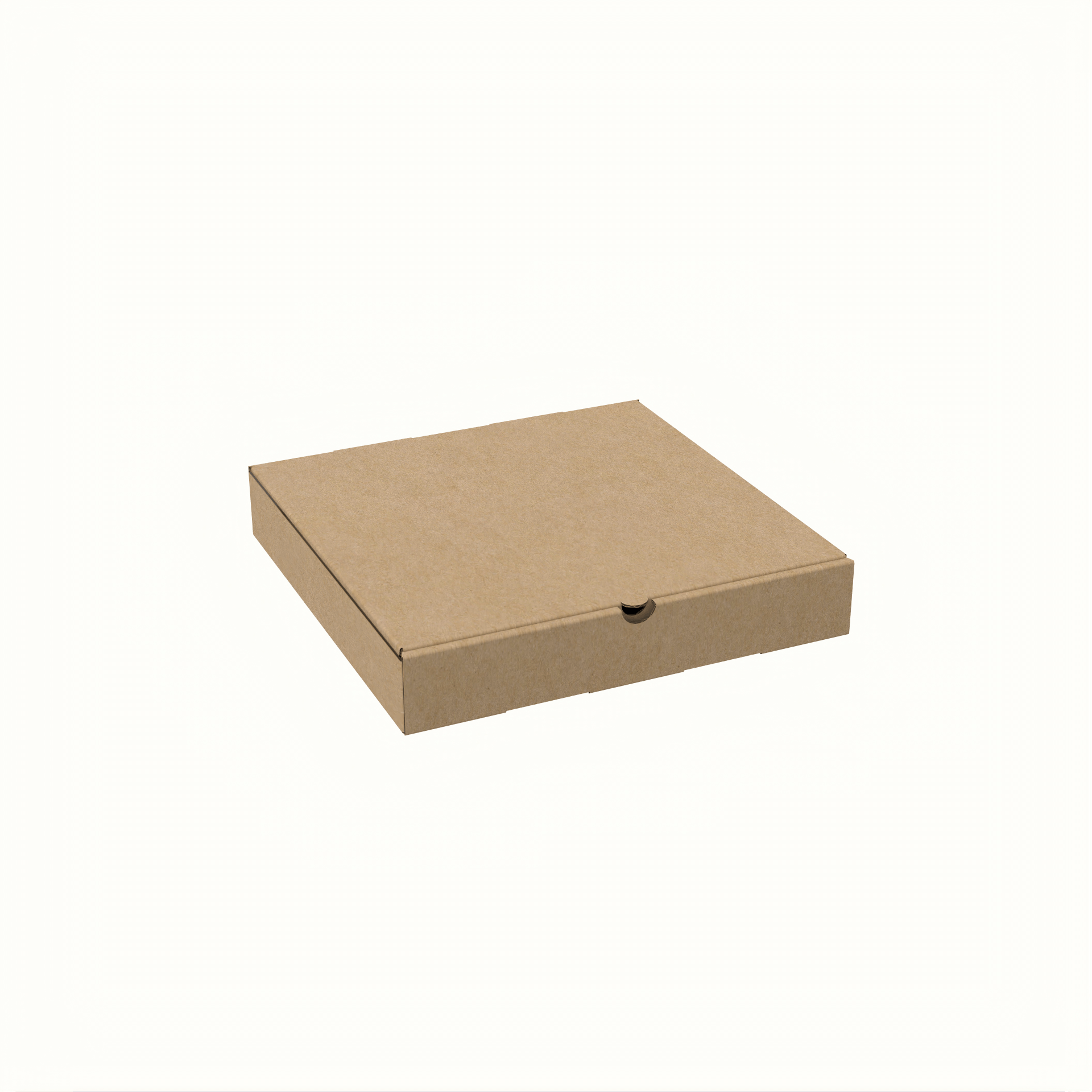 25x25x4 cm Pizza Kutusu