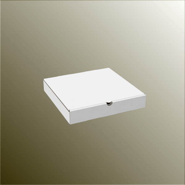 25x25x4 cm Pizza Kutusu
