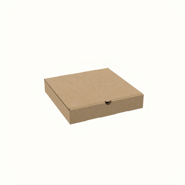 22x22x4 cm Pizza Kutusu