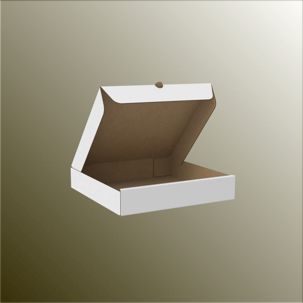 22x22x4 Pizza Kutusu