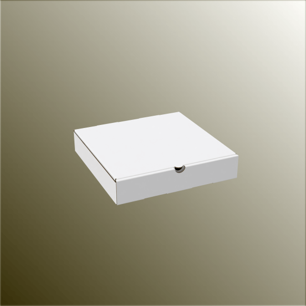 22x22x4 cm Pizza Kutusu